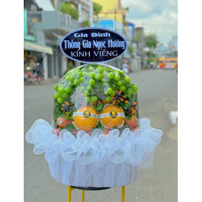 GIỎ TRÁI CÂY VIẾNG 11